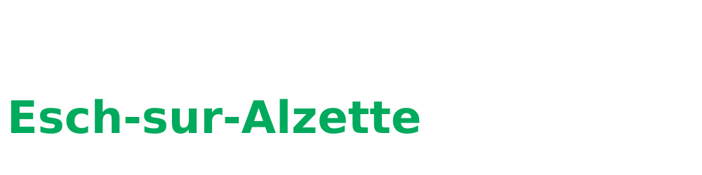 Serrurier Esch-sur-Alzette Logo